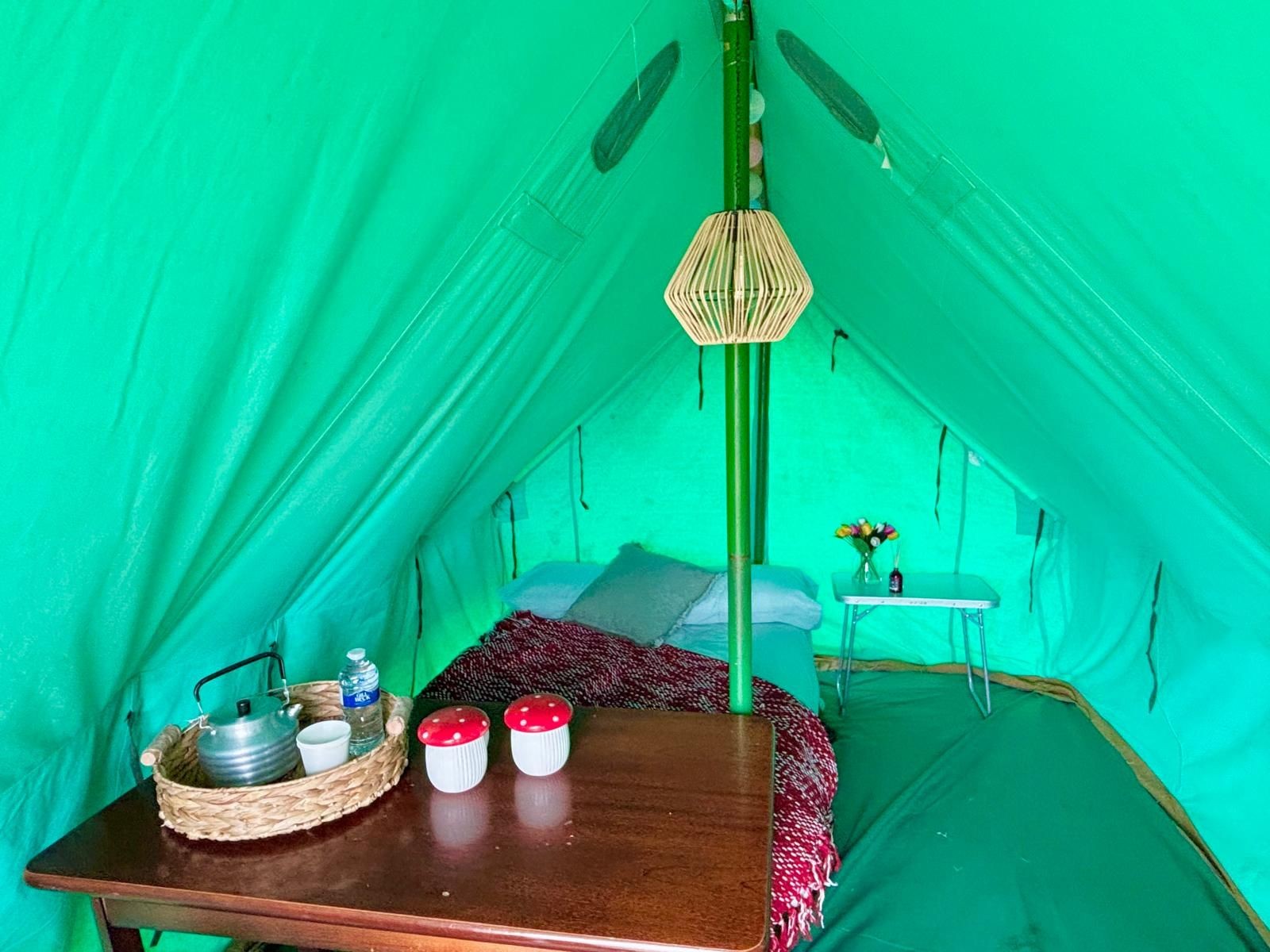 BBQ/Fire pits and all camping essentials are available onsite