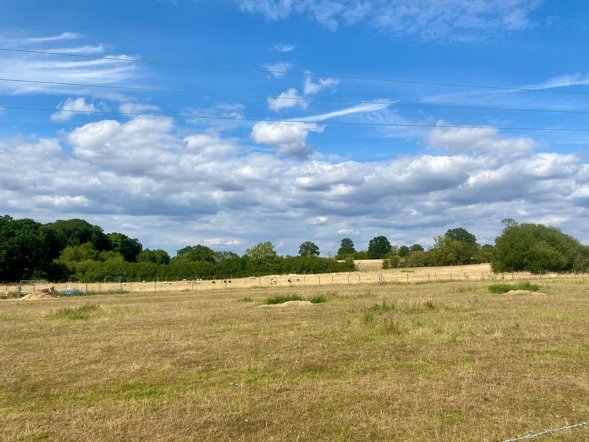 Scenic Countryside Views