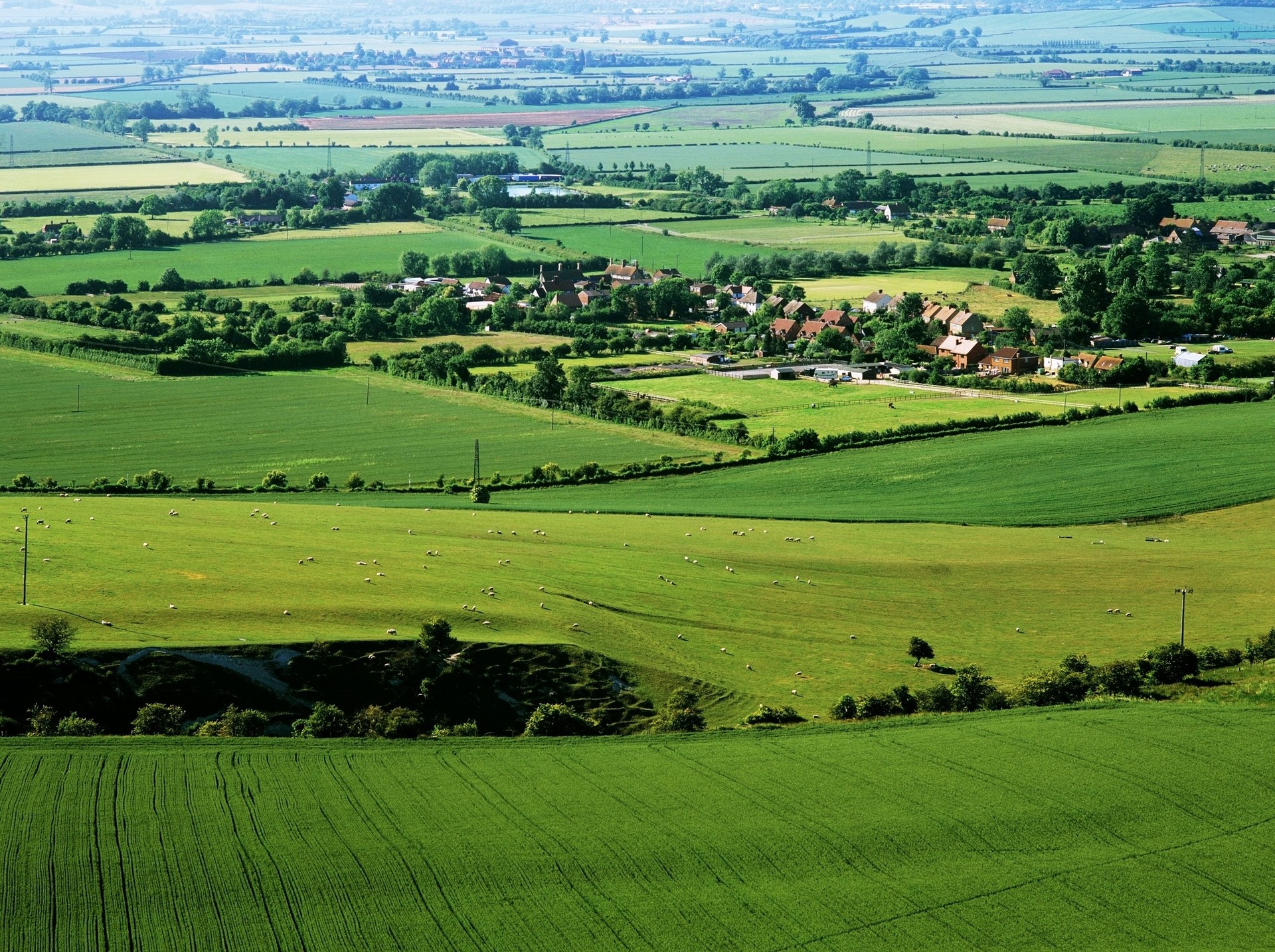 vale of aylesbury